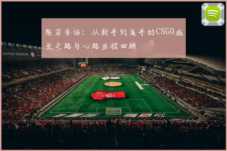 陈芳专访：从新手到高手的CSGO成长之路与心路历程回顾