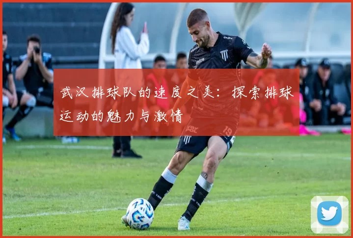 武汉排球队的速度之美：探索排球运动的魅力与激情