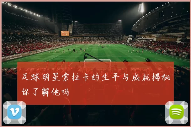 足球明星索拉卡的生平与成就揭秘你了解他吗