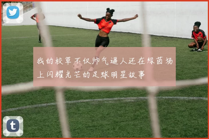 我的校草不仅帅气逼人还在绿茵场上闪耀光芒的足球明星故事