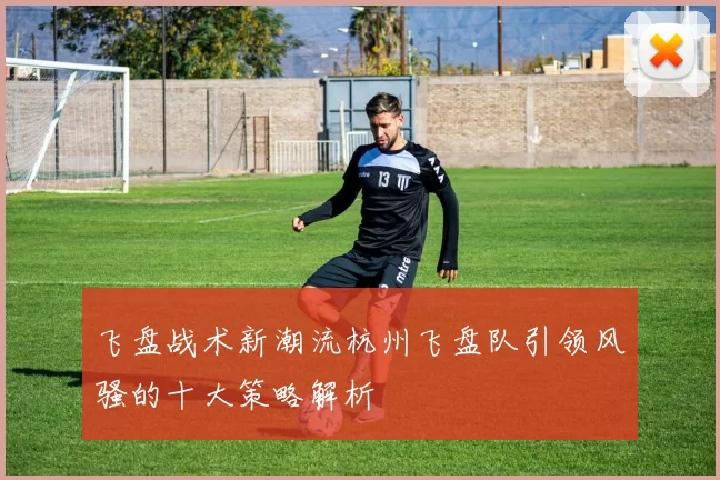 飞盘战术新潮流杭州飞盘队引领风骚的十大策略解析