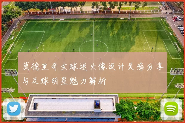 莫德里奇女球迷头像设计灵感分享与足球明星魅力解析