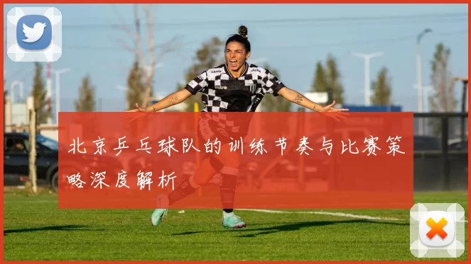 北京乒乓球队的训练节奏与比赛策略深度解析