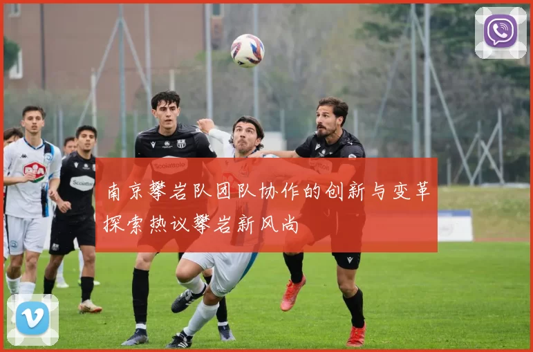 南京攀岩队团队协作的创新与变革探索热议攀岩新风尚