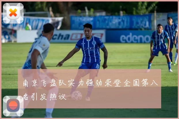 南京飞盘队实力强劲荣登全国第八名引发热议