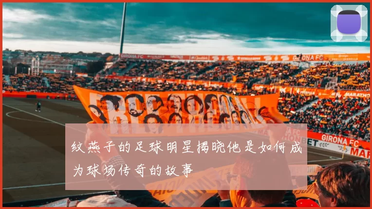 纹燕子的足球明星揭晓他是如何成为球场传奇的故事