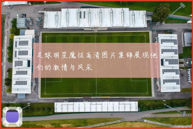 足球明星魔怔高清图片集锦展现他们的激情与风采